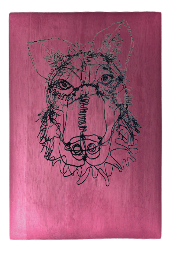 26bcc573c55511bccafe9b2dd4ab24